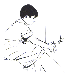 Steg 1 Ha en niyyah/intensjon at du skal gjøre wudhu, og si: بِسْمِ اللهِ  Bismillah I Allahs navn Steg 2 Vask hendene til håndleddene grundig tre ganger. 