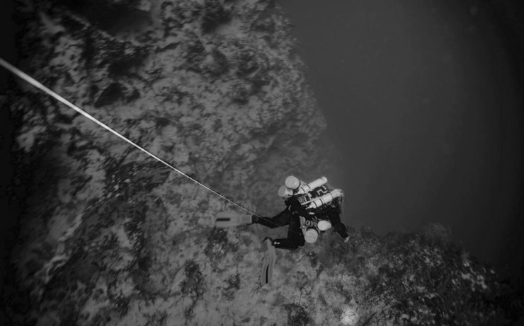 SCD0613_AA_Bermudav2